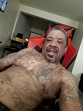 Preview yellowwetfox