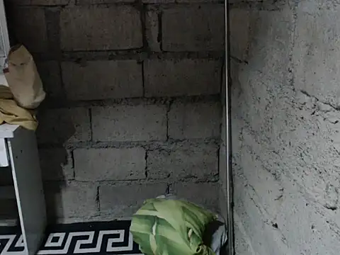 _HileyEndowed_ webcam