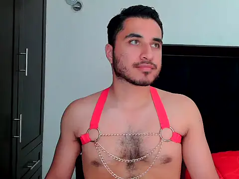 Philip_Reid_ webcam