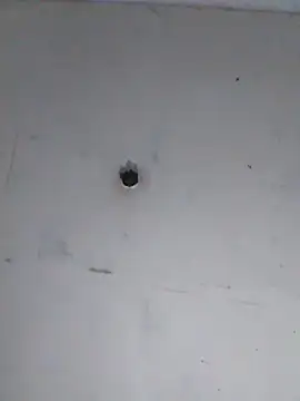 cobrosdepagos webcam