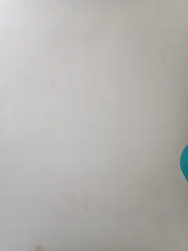 SubhadraTelugu webcam