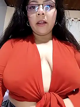 ROUSSE_SINCLAIR webcam