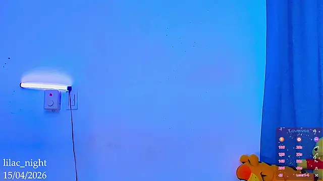 lilac_night33 webcam