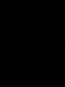 CattingSample webcam