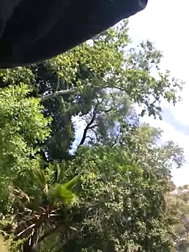 415cali925 (Ask my age) - Show my ass to a stranger