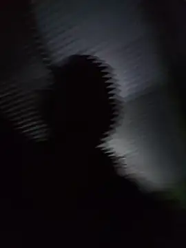 Dominicsexy_bitch webcam