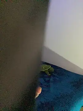 Catalina_Durango1 webcam