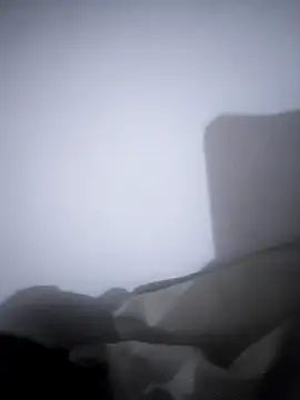 ambala1 (M young) - 2000