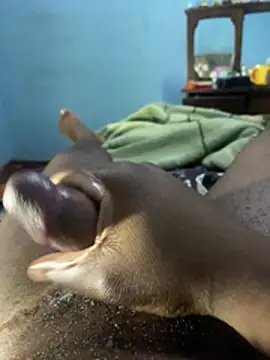 YourfavDick04 webcam