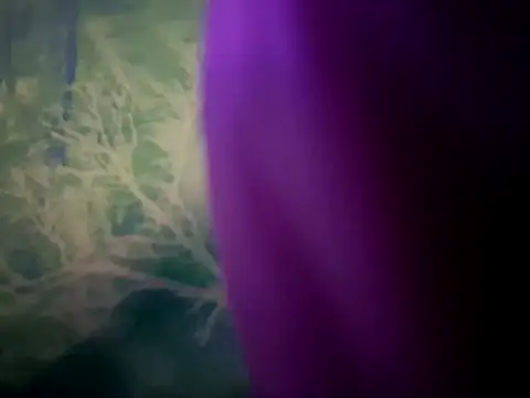 Preview of chronic_vibez