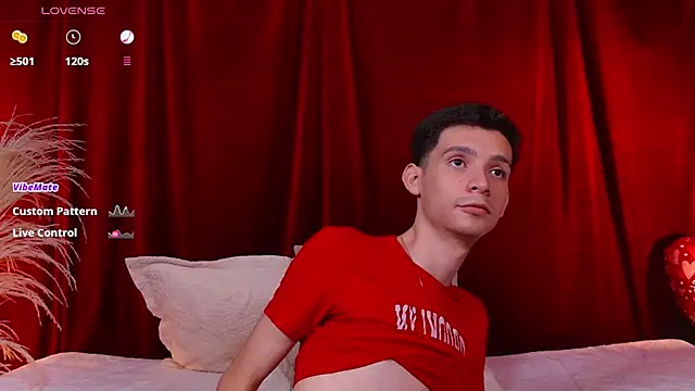 VicenteFerrer webcam