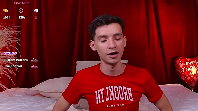 VicenteFerrer webcam