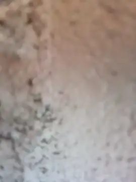 Shreya_pandit webcam