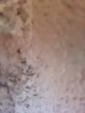 Shreya_pandit webcam