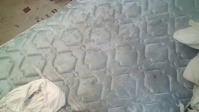 AcademicHuman67 webcam