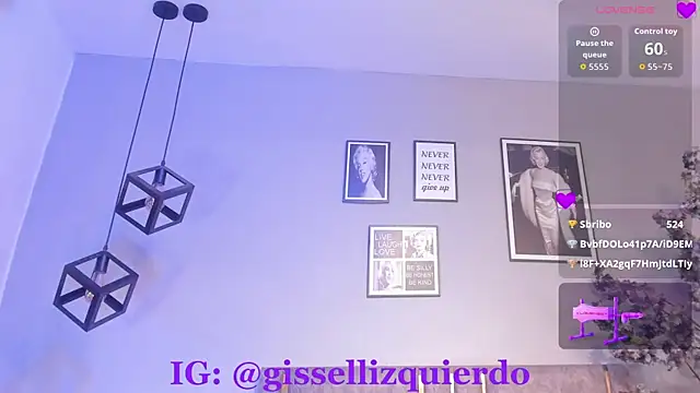 Liincostelloo webcam