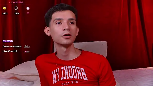 VicenteFerrer webcam