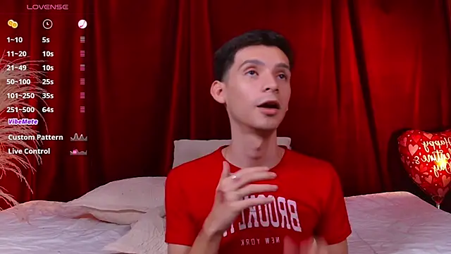 VicenteFerrer webcam