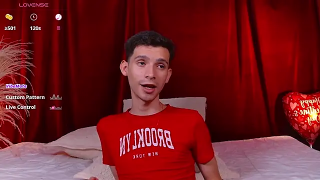 VicenteFerrer webcam