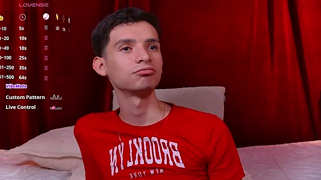 VicenteFerrer webcam