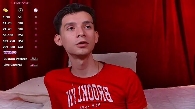 VicenteFerrer webcam