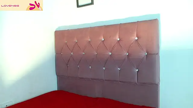 aaron_antonella_mds webcam