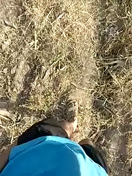 Forest_lover24 webcam