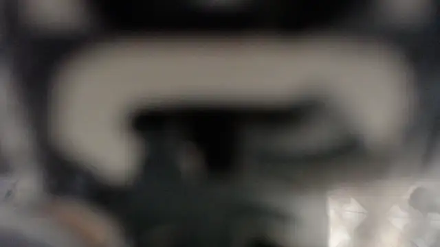 Dante_Ferrara2025 webcam