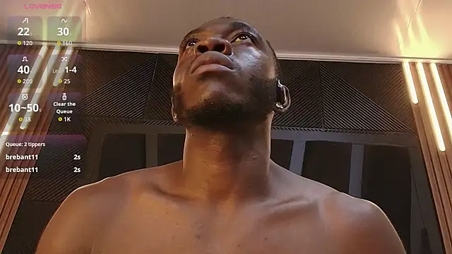 Oliver_Laurent_ webcam