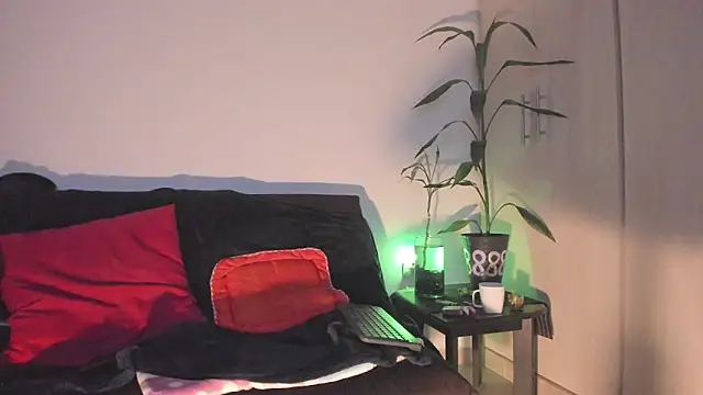 Erickpritz_xh webcam