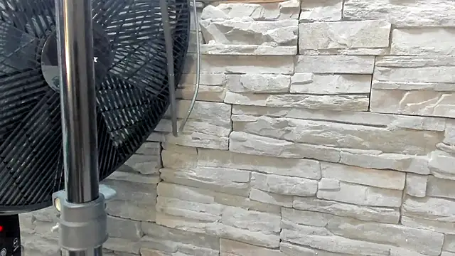 Doble_fantasia webcam