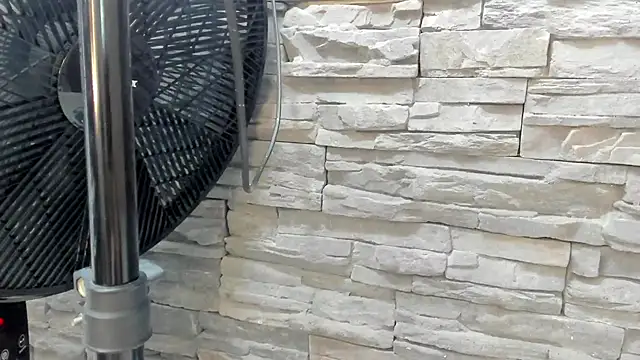 Doble_fantasia webcam