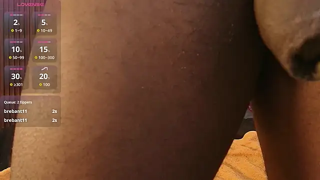 Oliver_Laurent_ webcam