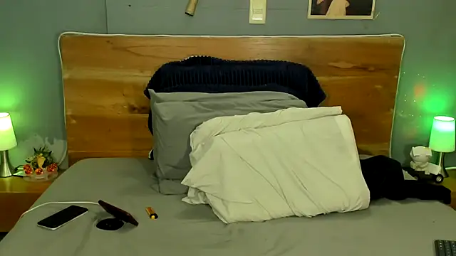 Prometeo-grizzly webcam