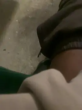 Preview of dingoding