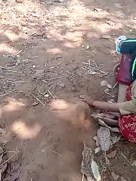 deepjakolirr (F young) - Family Deert