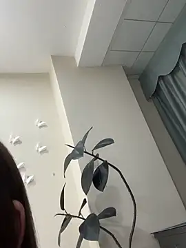 mengbaijiang07 - Mengbaijiang07's free webcam - UK Sex Cams