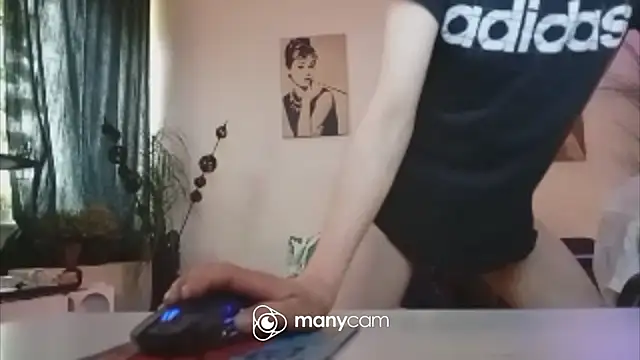 Preview of der_dino30