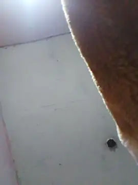 cobrosdepagos webcam