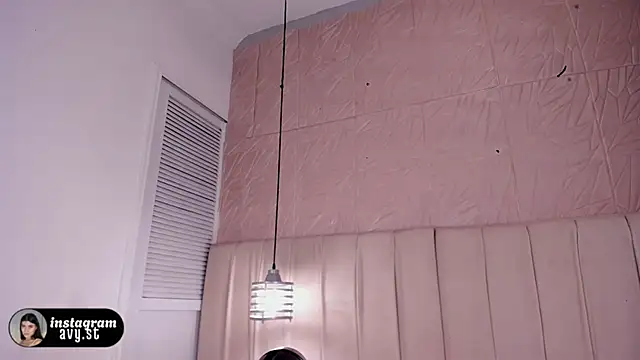 avy_st webcam
