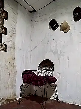 spittermasterpig1 webcam