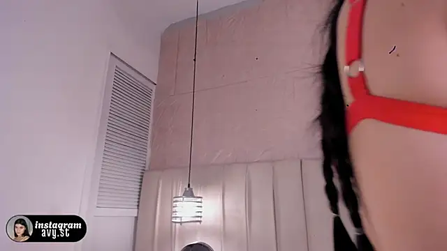 avy_st webcam