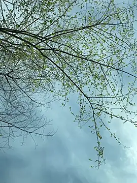 SweetCuteGirls1023 webcam