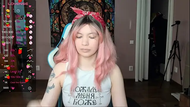 Project_hisoka webcam