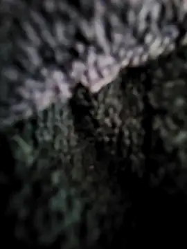 cum_daily1 (M grandpa) - #anal #big-cocks #bisexuals #cam2cam #cheapest-privates #dirty-talk #ejaculation #flashing #grandpas #handjob #hd #jerk-off-instruction #masturbation #medium #mobile #orgasm #recordable-privates #recordable-publics #sexting #small-audience #uk-models #white