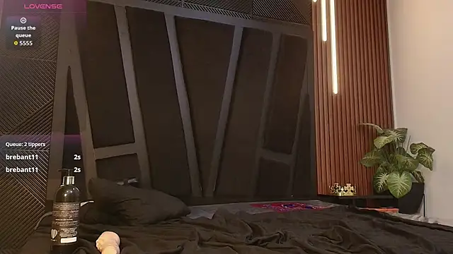 Oliver_Laurent_ webcam