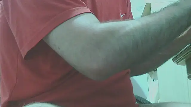 fabricadeleche webcam