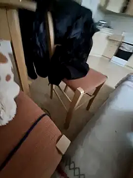 YeahDaynight2 webcam