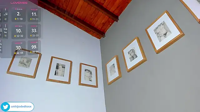 Ackerman_Eren_ webcam