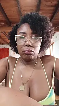 ChanneldelaCroix webcam